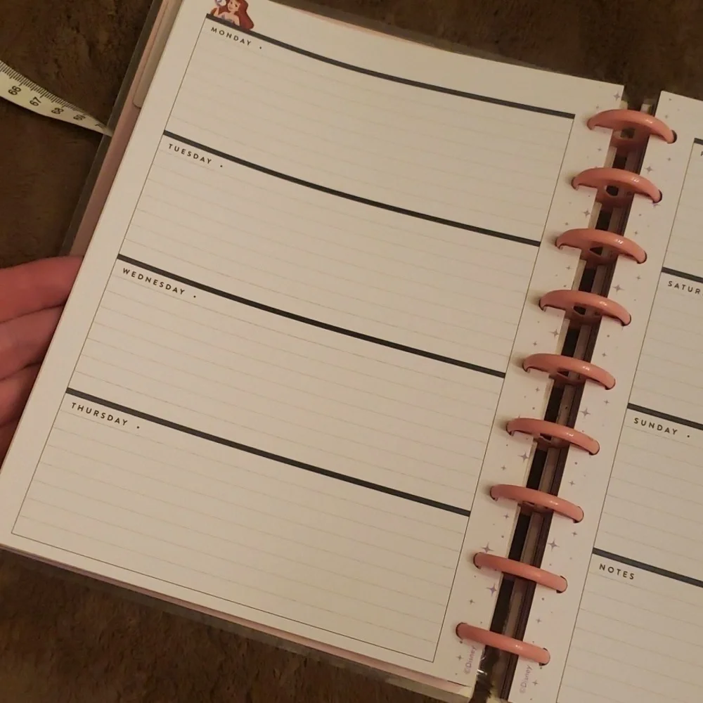 Disney Princess undated planner. New